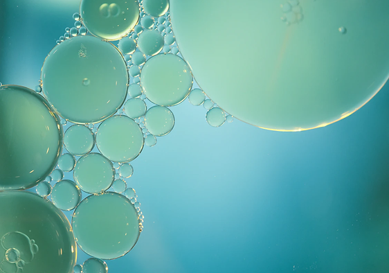 Understanding Borderline Personality Disorder